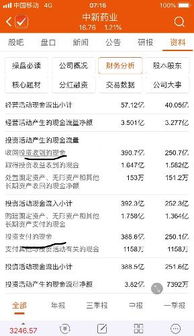 中新藥業(yè)對外投資資金性質(zhì)解析 自有資金與借貸資金的權(quán)衡
